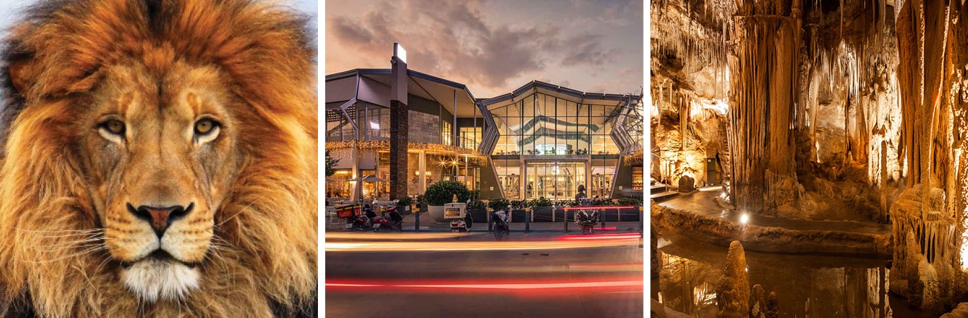 _medium-banner(450x1370)around_us2