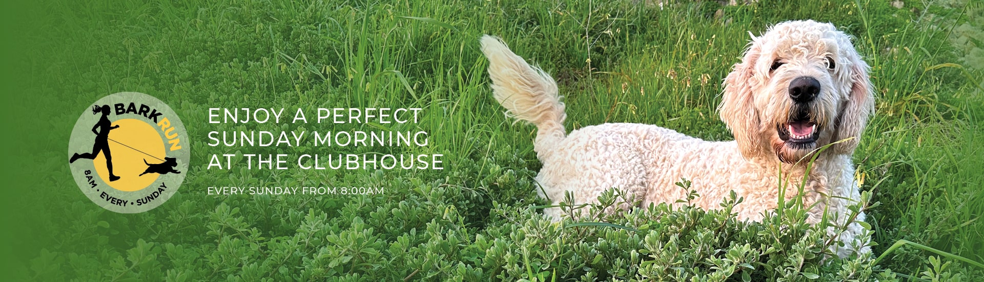 0154_BARK_RUN_WEB_BANNERS_1920x550-min